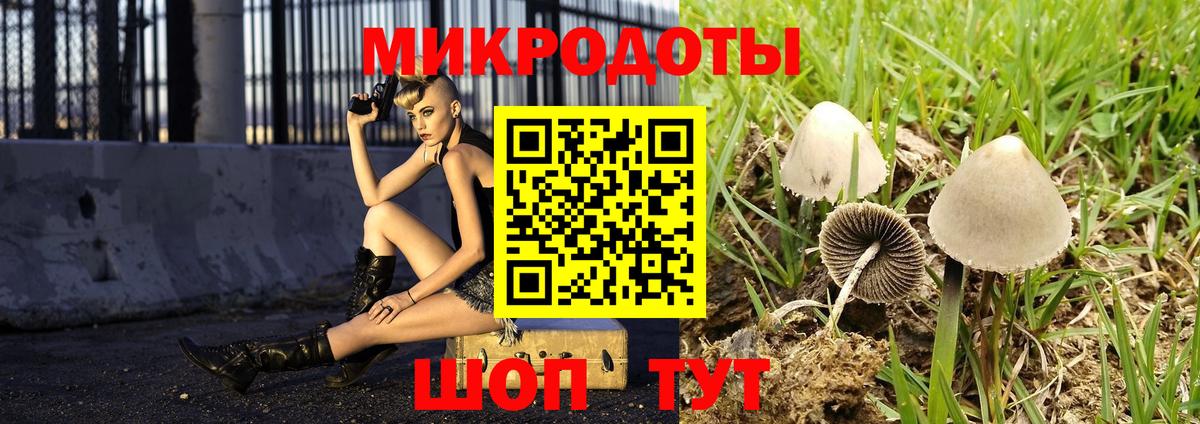 Галлюциногенные грибы Cubensis Светлоград